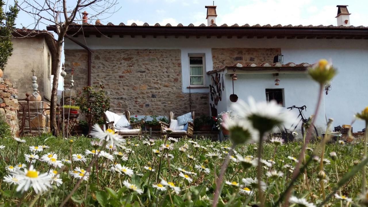 Il Colle Calci Villa Eksteriør billede