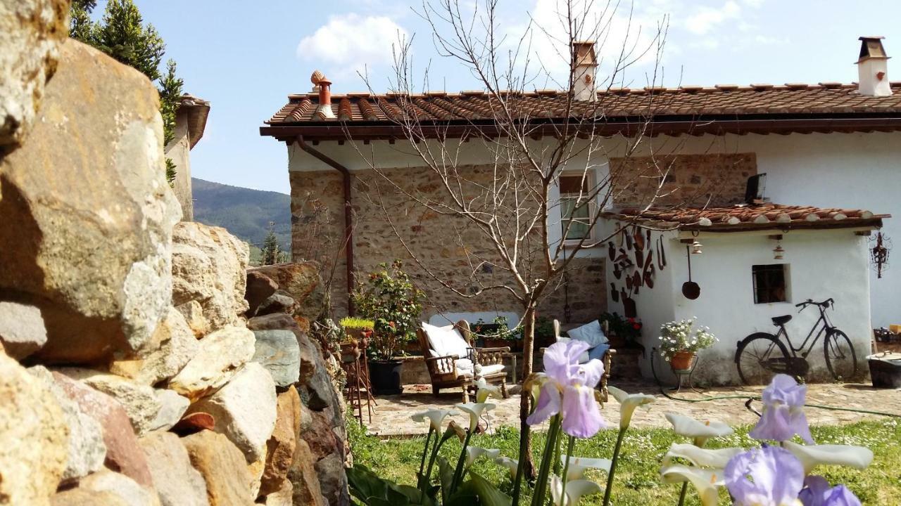 Il Colle Calci Villa Eksteriør billede